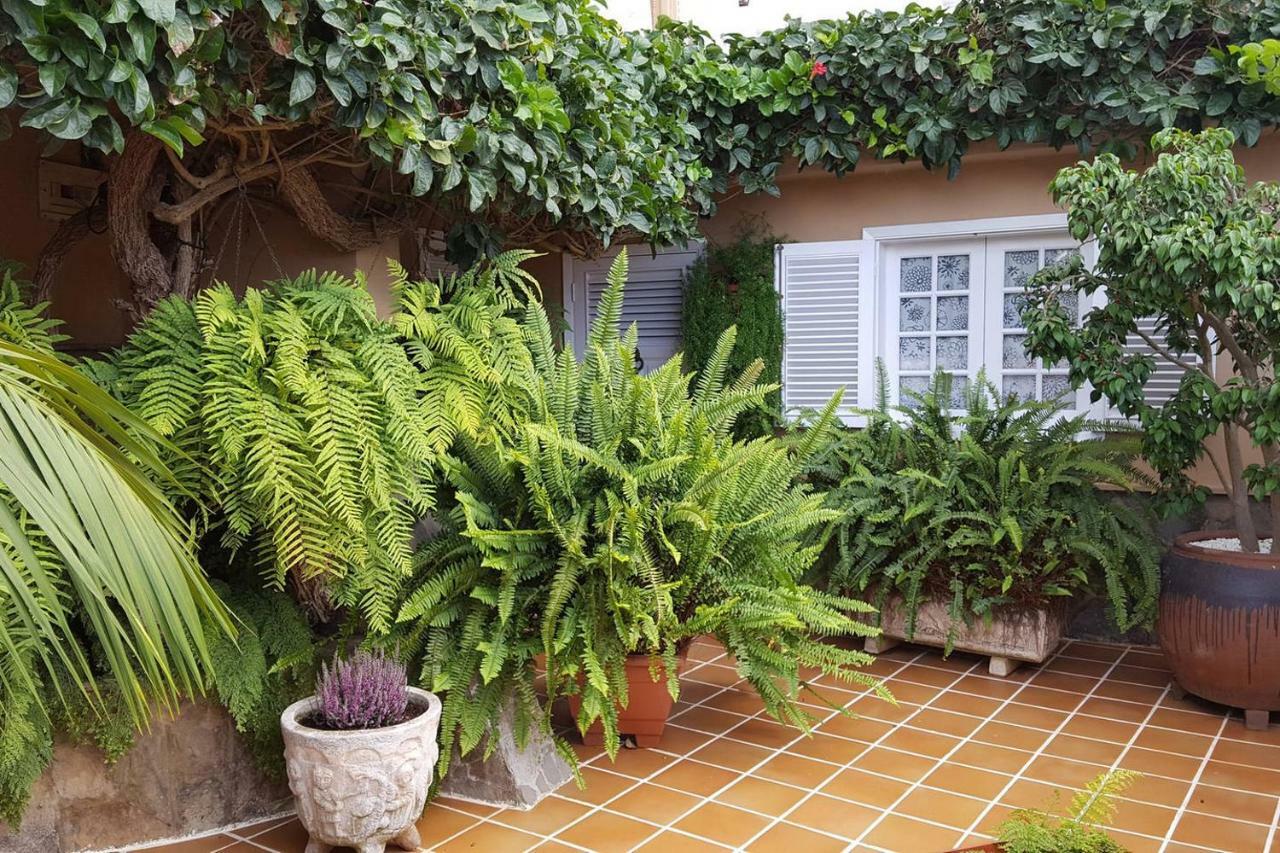 Orotava Garden House Perfect For Families Villa La Orotava Exterior photo